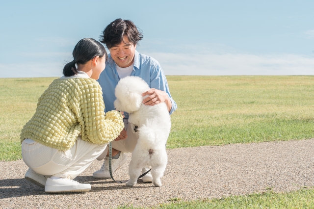 犬の散歩をする夫婦